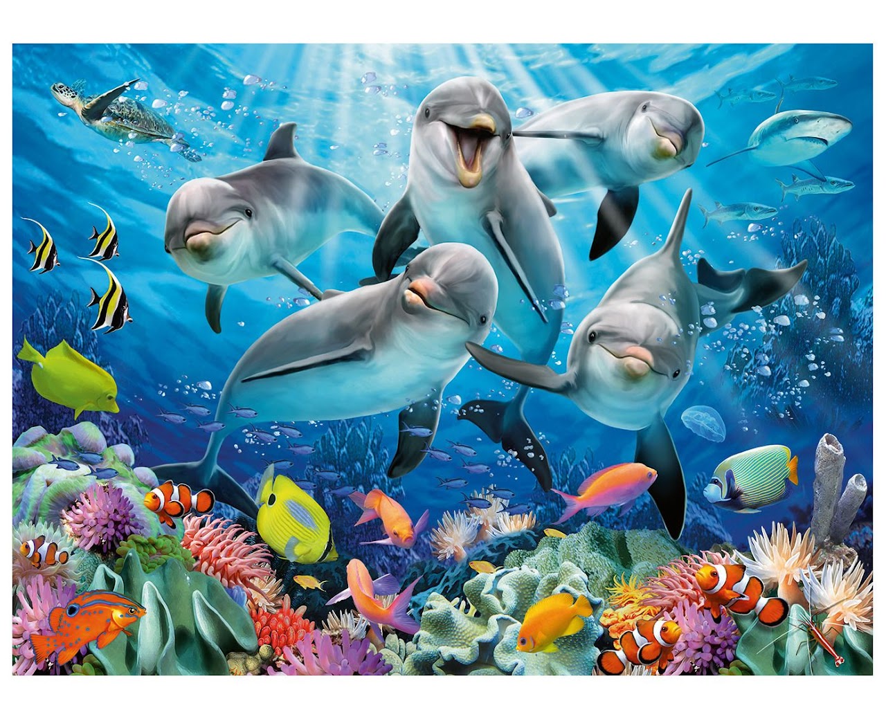 Dolphins Puzzle 500 Pieces