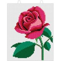 Mostaix Red - Rose
