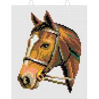 Mostaix Red - Horse