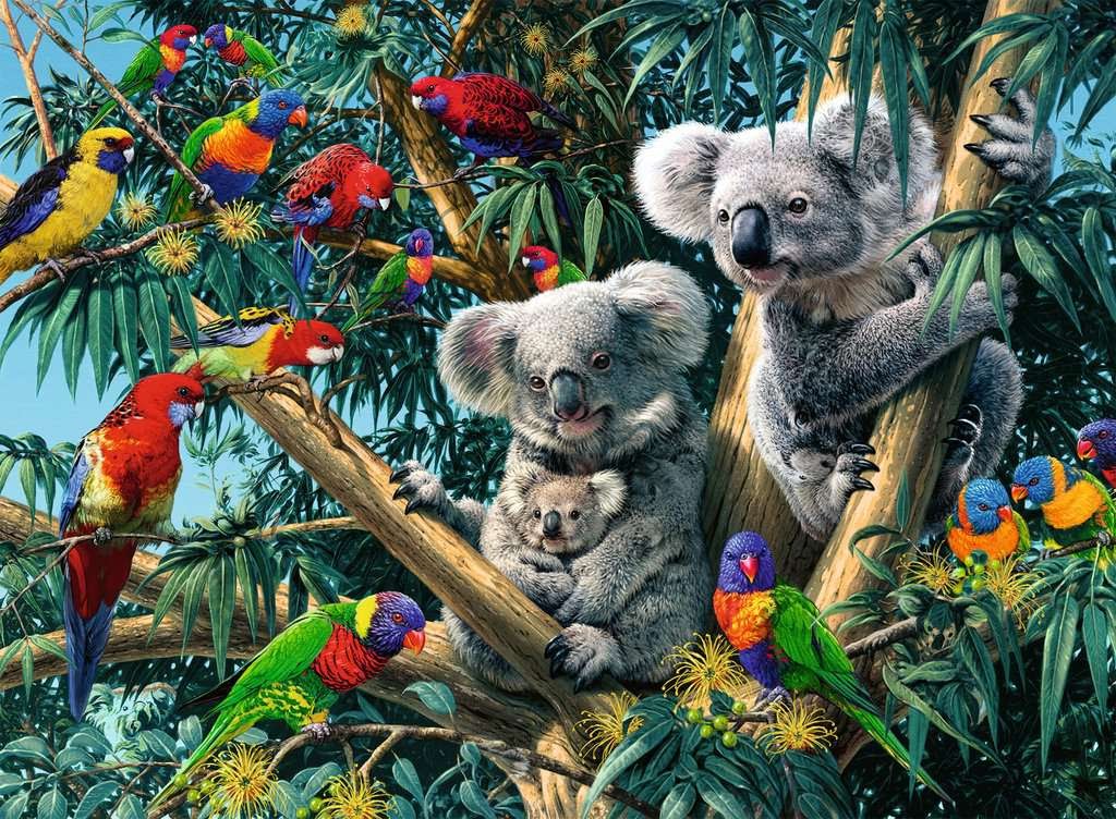 Koalas in a Tree Puzzle 500 Pieces